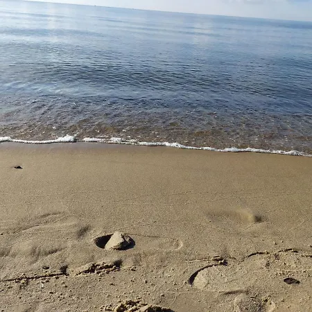 Burgund Wyspa Sobieszewska Gdansk