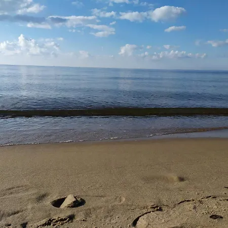 Burgund Wyspa Sobieszewska 格但斯克