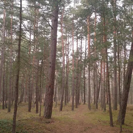 Burgund Wyspa Sobieszewska Apartamento