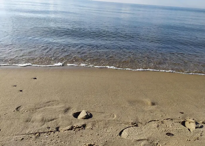 Burgund Wyspa Sobieszewska גדנסק