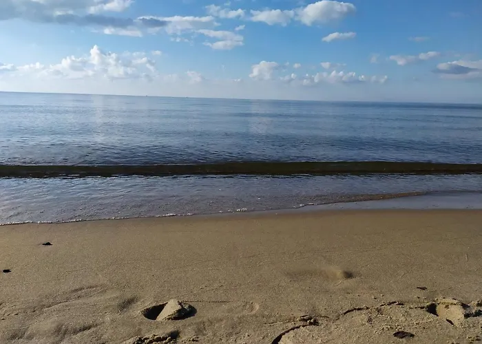 Burgund Wyspa Sobieszewska Gdańsk