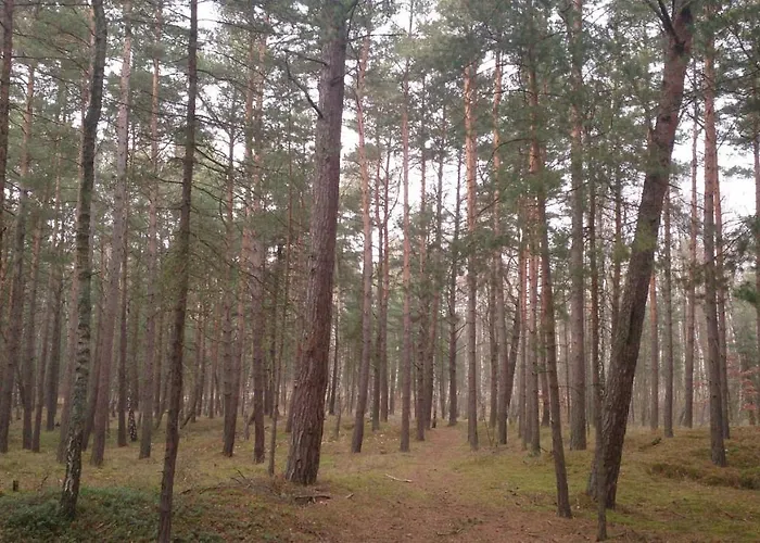 Burgund Wyspa Sobieszewska דירה